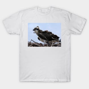 Young Osprey on Nest T-Shirt